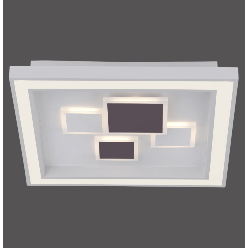 Paul Neuhaus 6283-16 - LED Stmívatelné stropní svítidlo ELIZA LED/30W/230V + LED/18,5W