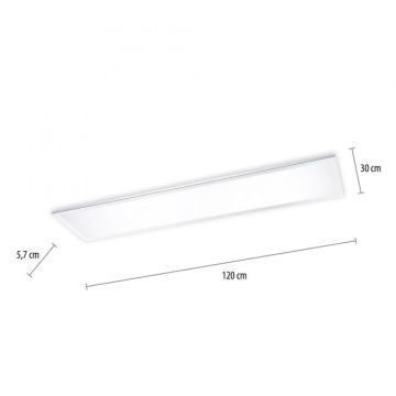 Paul Neuhaus 8112-17 - LED Stmívatelný přisazený panel FLAG LED/35W/230V