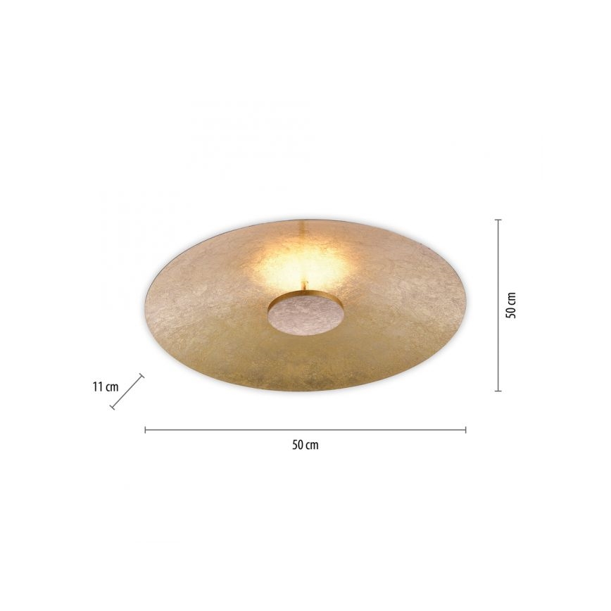 Paul Neuhaus 8132-12 - LED Stmívatelné stropní svítidlo PLATE LED/25W/230V