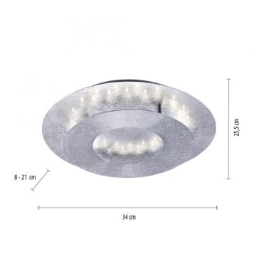 Paul Neuhaus 9011-21 - LED Stropní svítidlo NEVIS LED/6W/230V stříbrná