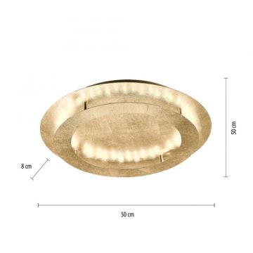 Paul Neuhaus 9621-12 - LED Stropní svítidlo NEVIS LED/24W/230V