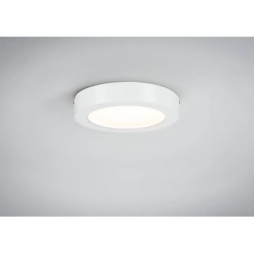 Paulmann 70641 - LED/11W Stropní svítidlo LUNAR 230V pr. 17 cm bílá