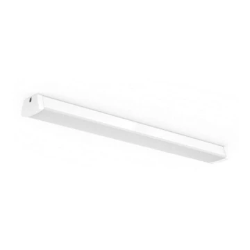 Philips 31247/31/P0 - LED Technické zářivkové svítidlo AQUALINE LED/50W/230V IP65