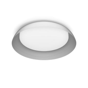 Philips - LED Stmívatelné stropní svítidlo FLETA LED/10W/230V 2700K čirá