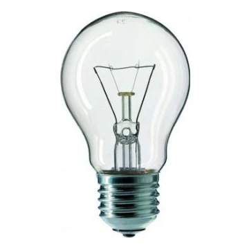 Průmyslová žárovka CLEAR E27/100W/240V