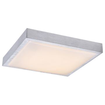 Rabalux - LED Stropní svítidlo LED/24W/230V