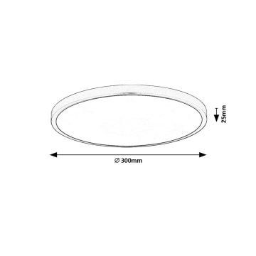 Rabalux - LED Stropní svítidlo LED/24W/230V 4000K pr. 30 cm černá