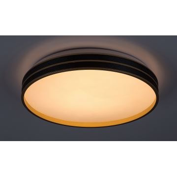 Rabalux - LED Stmívatelné stropní svítidlo LED/24W/230V 3000-6500K + dálkové ovládání