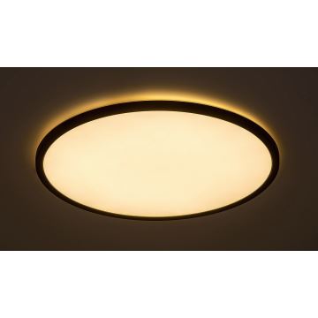 Rabalux - LED Stmívatelné stropní svítidlo LED/22W/230V 3000K 42 cm
