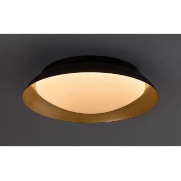 Rabalux - LED Stropní svítidlo LED/24W/230V 3000K pr. 40 cm