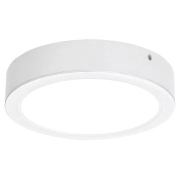 Rabalux - LED Stropní svítidlo LED/24W/230V 4000K pr. 22 cm bílá