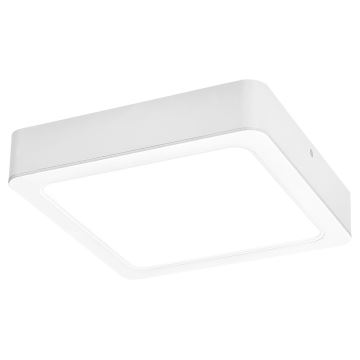 Rabalux - LED Stropní svítidlo LED/24W/230V 4000K 22x22 cm bílá