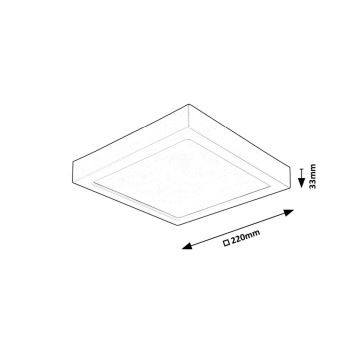 Rabalux - LED Stropní svítidlo LED/24W/230V 4000K 22x22 cm černá