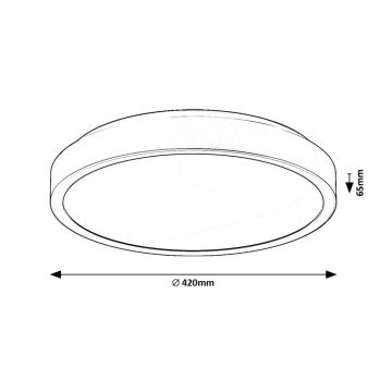 Rabalux - LED Koupelnové stropní svítidlo LED/48W/230V IP44 4000K pr. 42 cm černá