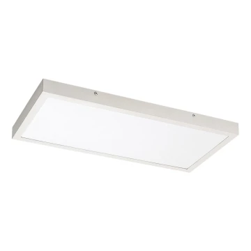 Rabalux - LED Přisazený panel LED/24W/230V 4000K 60x30 cm