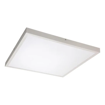 Rabalux - LED Přisazený panel LED/40W/230V 4000K 60x60 cm