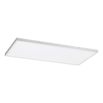 Rabalux - LED Přisazený panel LED/80W/230V 4000K 120x60 cm