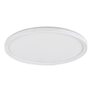 Rabalux - LED Stmívatelné stropní svítidlo LED/22W/230V