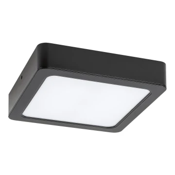 Rabalux - LED Stropní svítidlo LED/12W/230V 14,5 cm