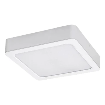 Rabalux - LED Stropní svítidlo LED/15W/230V 4000K 16x16 cm bílá