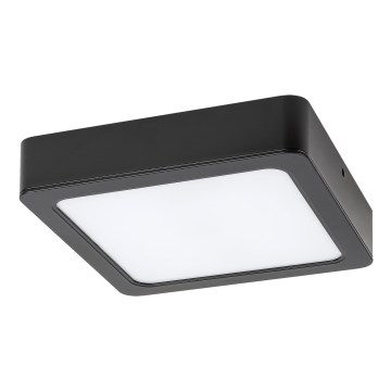 Rabalux - LED Stropní svítidlo LED/15W/230V 4000K 16x16 cm černá