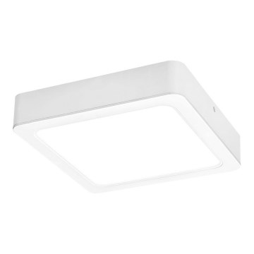 Rabalux - LED Stropní svítidlo LED/18W/230V 17 cm