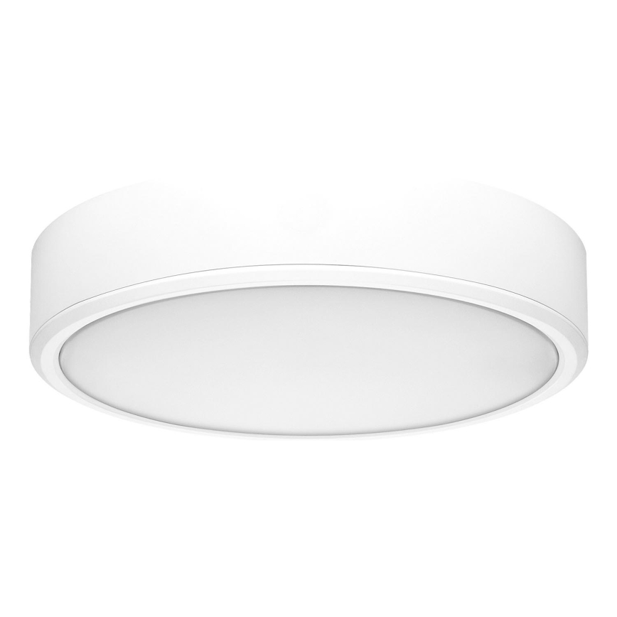 Rabalux - LED Stropní svítidlo LED/22W/230V 3000/4000/6000K pr. 21 cm bílá