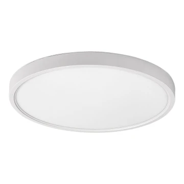 Rabalux - LED Stropní svítidlo LED/24W/230V 4000K pr. 30 cm bílá