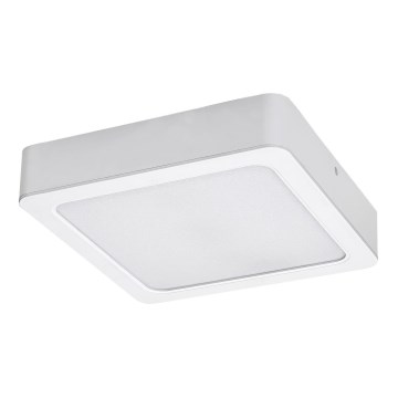 Rabalux - LED Stropní svítidlo LED/7W/230V 4000K 12x12 cm bílá