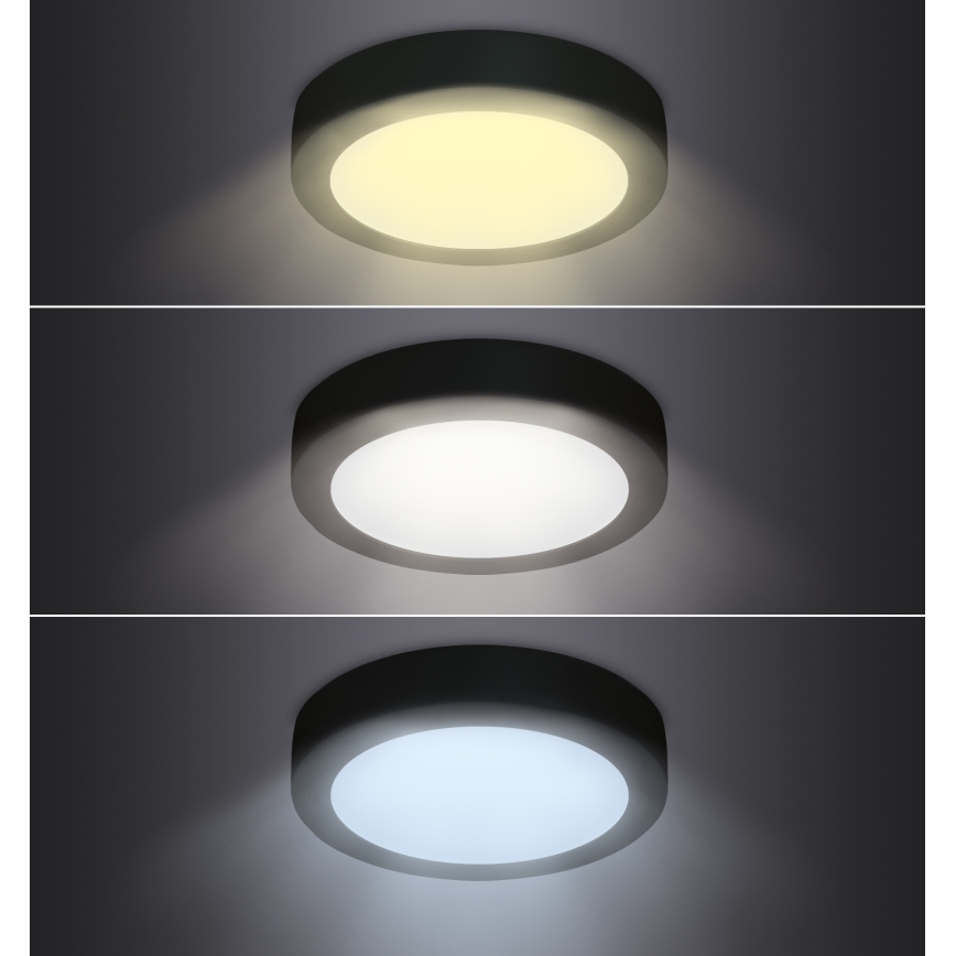 LED Stropní svítidlo LED/12W/230V 3000/4000/6000K černá kulatý