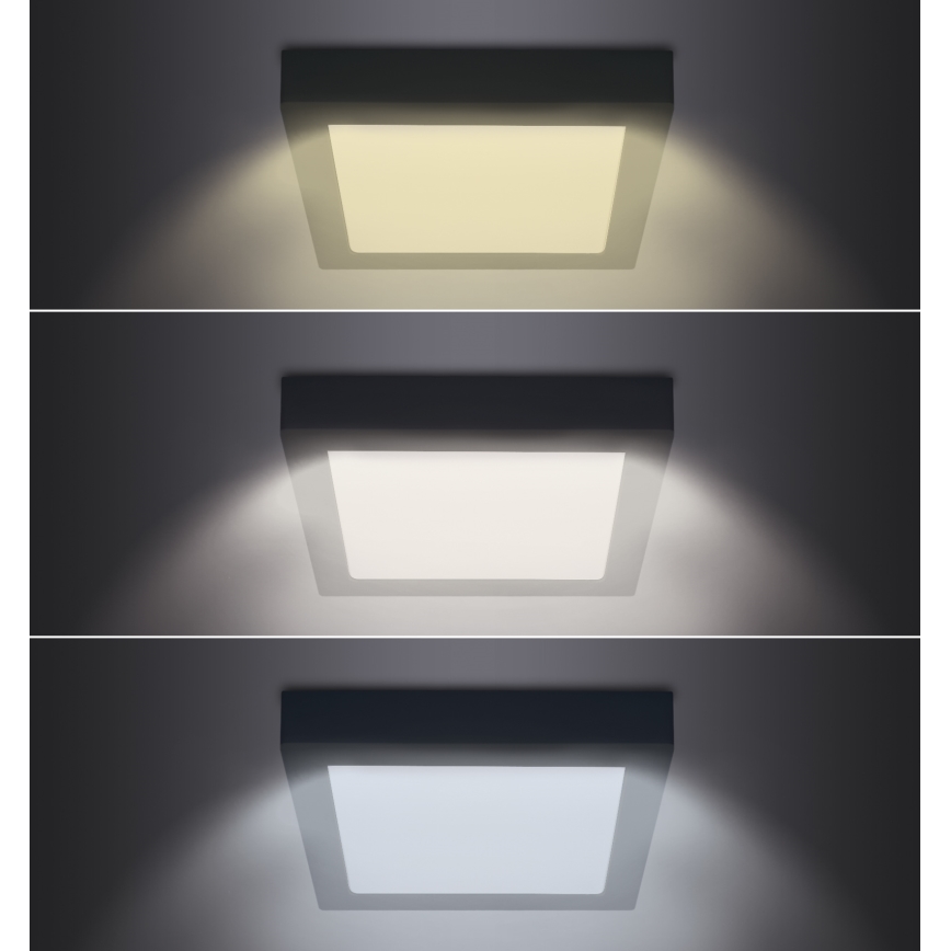LED Stropní svítidlo LED/12W/230V 3000/4000/6000K černá hranatý