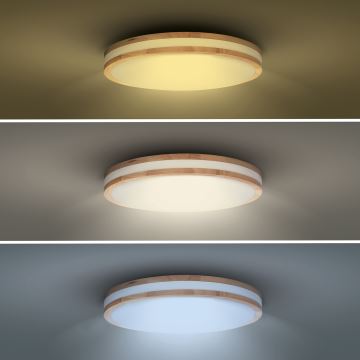 LED Stmívatelné stropní svítidlo WOODY LED/48W/230V 3000-6500K dub pr. 38 cm + dálkové ovládání