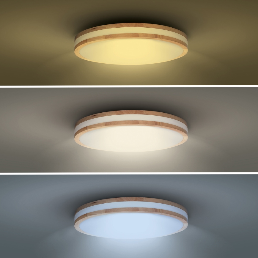 LED Stmívatelné stropní svítidlo WOODY LED/60W/230V 3000-6500K dub pr. 50 cm + dálkové ovládání