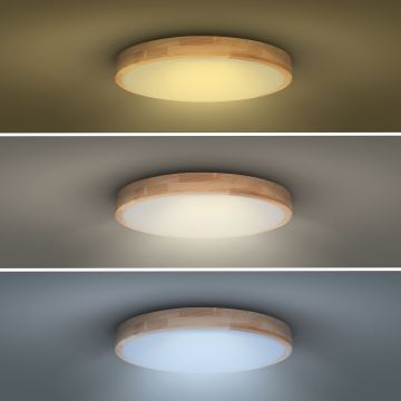 LED Stmívatelné stropní svítidlo SOLID OAK LED/48W/230V 3000-6500K dub pr. 39 cm + dálkové ovládání