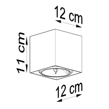 Bodové svítidlo BLAKE 1xGU10/40W/230V