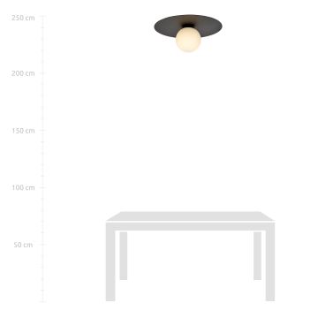 Stropní svítidlo SOLAR 1xE14/10W/230V černá/bílá