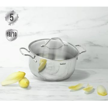 Tefal - Hrnec s poklicí INTUITION 22 cm