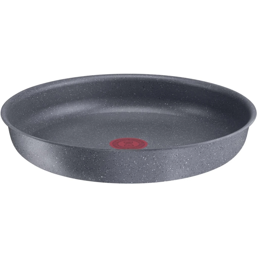 Tefal - Pánev INGENIO NATURAL FORCE 24 cm