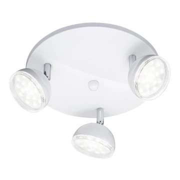 Trio - LED Bodové svítidlo BOLOU 3xLED/3,8W/230V