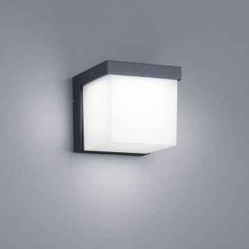 Trio - LED Venkovní nástěnné svítidlo YANGTZE LED/4,5W/230V IP54 3000K
