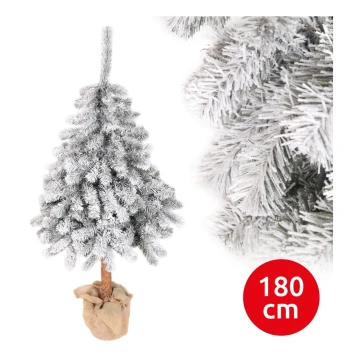 Vánoční stromek PIN 180 cm jedle