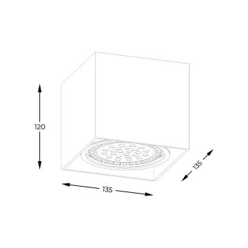 Zuma Line - Bodové svítidlo 1xGU10-ES111/15W/230V bílá