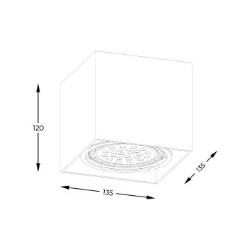 Zuma Line - Bodové svítidlo 1xGU10-ES111/15W/230V černá